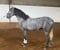 Horse ad