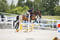 Horse ad