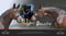 Annuncio cavallo