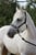 Annonce cheval