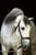 Horse ad