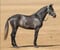 Horse ad