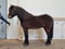 Horse ad