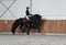 Horse ad