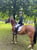 Horse ad