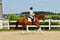 Annuncio cavallo
