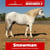 Paardadvertentie