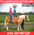 Horse ad