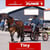 Paardadvertentie
