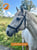 Horse ad