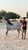 Annonce cheval