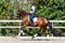 Horse ad