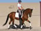 Annonce cheval
