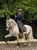 Annuncio cavallo