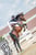 Horse ad