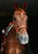 Horse ad