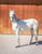 Horse ad
