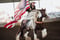 Annuncio cavallo