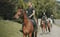 Annonce cheval