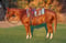 Horse ad