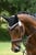 Horse ad