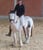 Horse ad