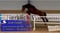 Horse ad