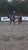 Horse ad