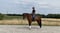 Annonce cheval
