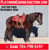 Horse ad