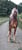 Annonce cheval