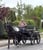 Horse ad