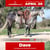 Annonce cheval