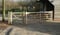 Annuncio cavallo