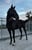 Annuncio cavallo