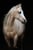Horse ad