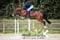 Annuncio cavallo