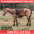 Annuncio cavallo