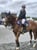 Horse ad