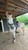 Horse ad