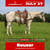 Horse ad