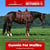 Paardadvertentie