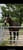 Horse ad