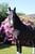 Horse ad