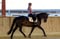 Horse ad