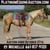 Annuncio cavallo