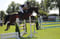 Horse ad