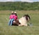 Annuncio cavallo