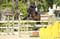 Horse ad
