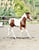 Anuncio de caballos